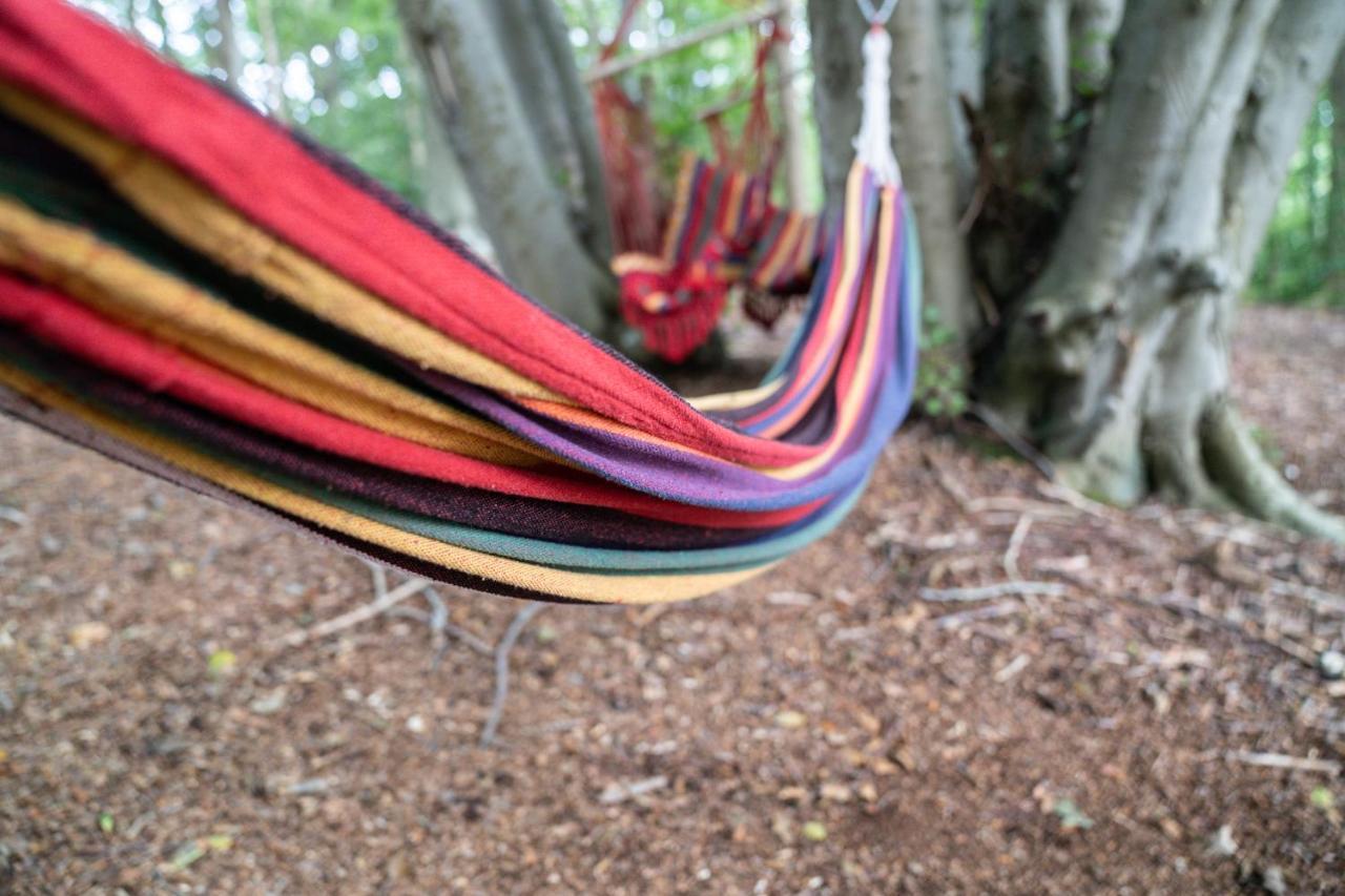 Gite Calypso de 14 personnes Fécamp Etretat Colleville Esterno foto